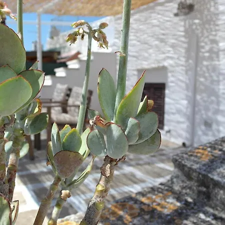 Casa Caterina-charming Typical Cozy Rooftop Terraces Ostuni
